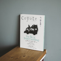 coyote1